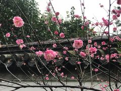 -汇龙潭