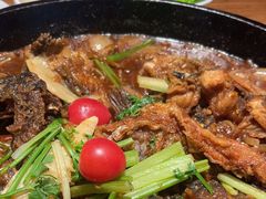 -老板恋上鱼(恒隆广场店)