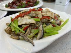 -野菌王牦牛肉汤锅
