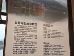 -美的鹭湖森林度假区