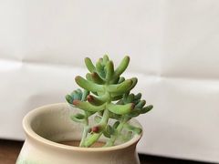 -萨莉亚意式餐厅(国和1000店)