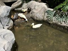-北戴河集发农业梦想王国