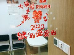 -艾贝尔宠物医院·24H转诊中心·肿瘤猫专科(江宁双龙店)