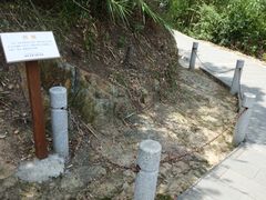 景点-羚羊峡古栈道森林公园
