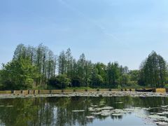 -西溪国家湿地公园