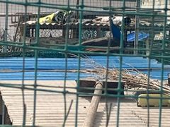 -北京龙庆四季香农家饭庄·灶台鱼·碳烤虹鳟鱼(龙庆峡店)