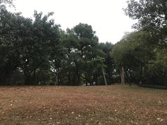 -晓港公园