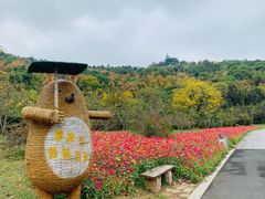 -苏州上方山国家森林公园