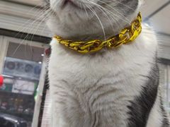 -百金通黄金回收首饰定制维修(珠江路总部)