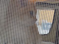 -联合动物医院(光谷诊疗中心)