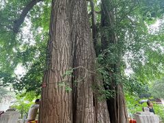 -潭柘寺景区