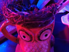 -MOSSO音乐酒吧·live house(南京旗舰店)