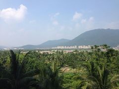 android_upload_pic-三亚亚龙湾红树林度假酒店