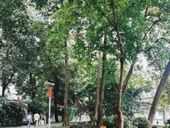 -荔湾湖公园