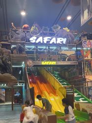 -卡通尼·Safari非洲探索乐园·生日会(金桥国际商业广场店)