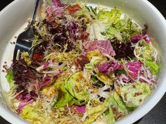 -喜悦烤鸭·新京菜(王府井店)