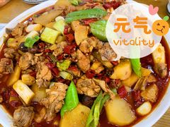 -新疆大盘鸡·十八年老店