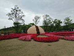 -苏州上方山国家森林公园