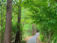-东湖落雁景区
