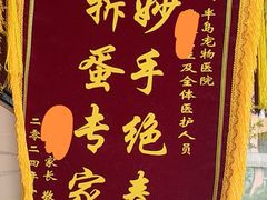 -半岛宠物医院24小时·内窥镜·牙科·碎石中心(府城大道店)