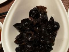 黑木耳-东方明珠老上海8号餐厅(东方明珠广播电视塔店)