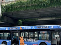 -帕帕拉兹宠物(亚洲旗舰店)