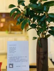 -阿南达·瑜伽普拉提·疗愈中心GZS