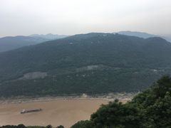 -铁山坪森林公园