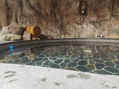 -裕龙汤泉