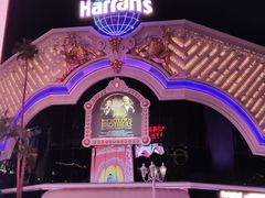 -拉斯维加斯永利酒店