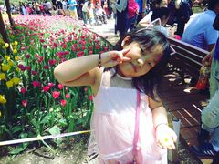 -长春公园(普阳街道)