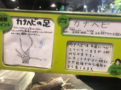 -大阪儿童乐园