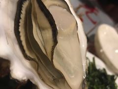 蒸汽生蚝-辉记炭烧海鲜大排档·老字号(福田店)