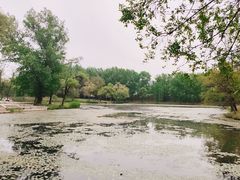-承德避暑山庄景区