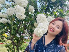 -大龙山(地铁站)