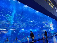 -成都浩海立方海洋公园