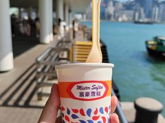 -富豪雪糕车流动点(尖沙咀店)