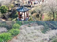 -广东天露山旅游度假区