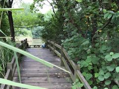 -吴淞炮台湾湿地森林公园烧烤区