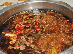 -成都秧秧鱼(黄泥磅店)