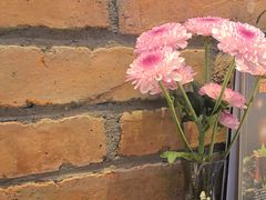 -blue frog蓝蛙(长泰广场店)