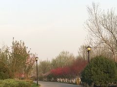 -永定河休闲森林公园