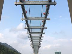 -客天下恐龙水晶玻璃桥