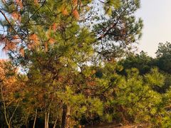 -南京市无想山景区