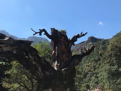 -龙湾潭国家森林公园