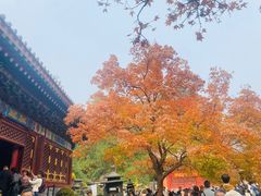 -香山公园