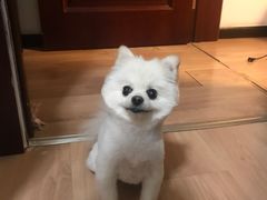 -乐宠宠物店(世纪金源店)