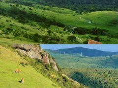 -大姆山草场