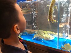 -德米火锅(深圳湾1号旗舰店)