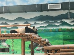 -柳州市动物园